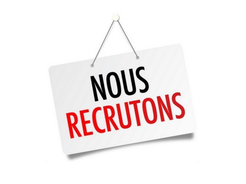 Technicien/ne poseur/se de pare brise expérimenté(e)